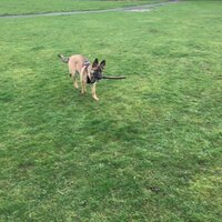 Walk in the park