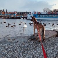 The Lake District was pawsome!! 