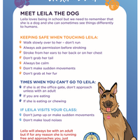 How to be safe around our school dog